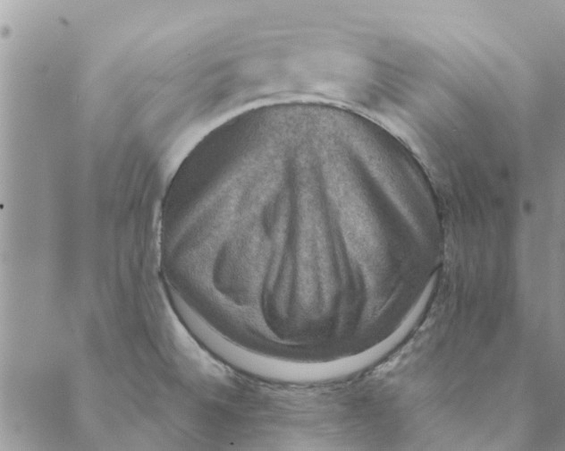 X0000088401524200706121222