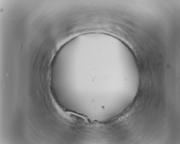 X0000088401526200706121222