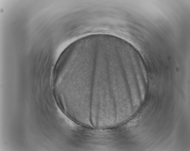 X0000088401527200706121222