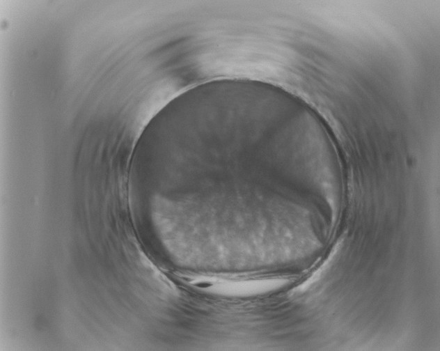 X0000088401529200706121222