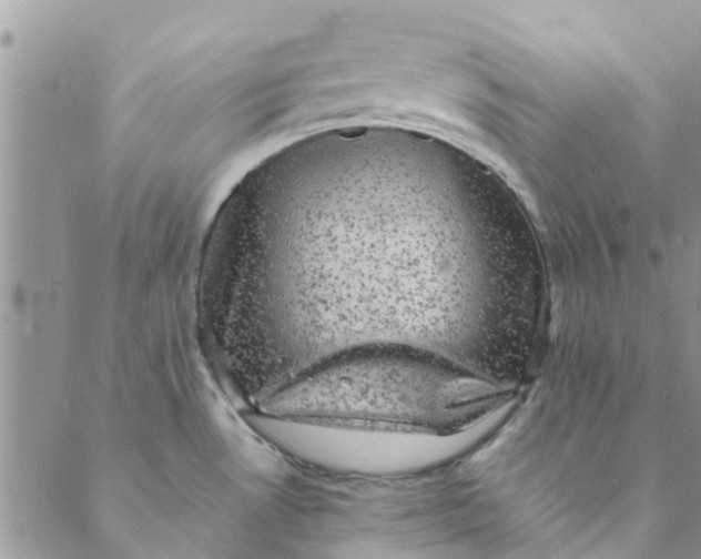 X0000088401530200706121222