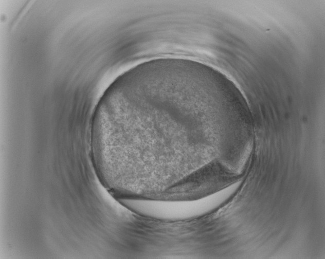 X0000088401531200706121222