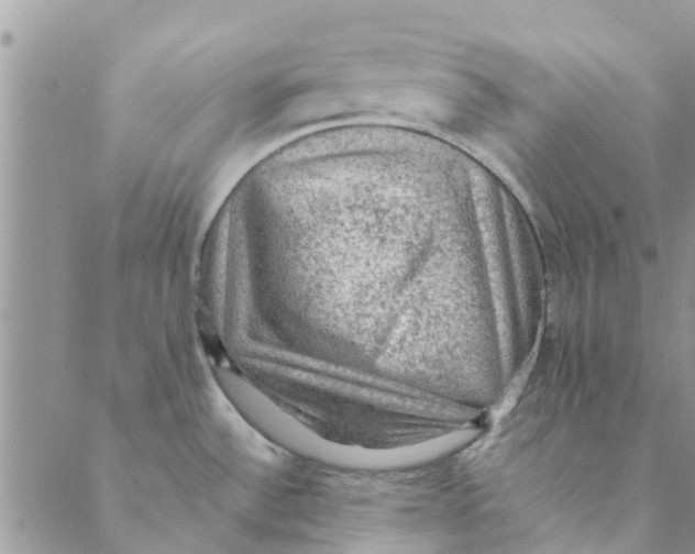 X0000088401532200706121222