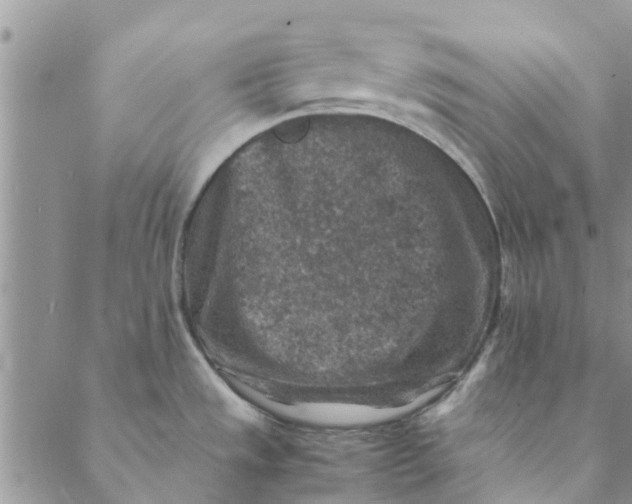 X0000088401533200706121222