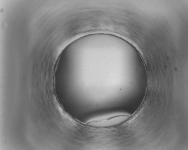 X0000088401534200706121222