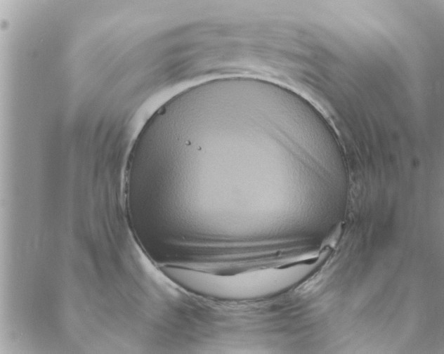 X0000088401535200706121222