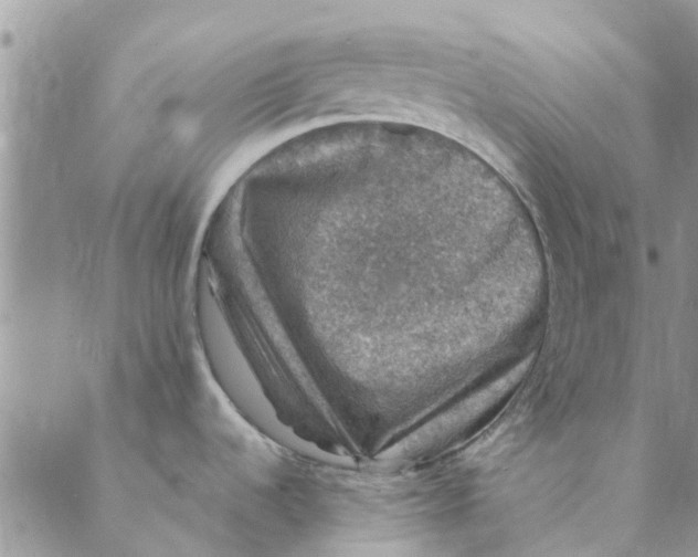 X0000088401536200706121222