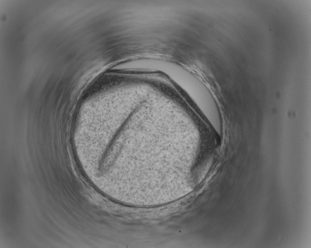 X0000088400001200706191409