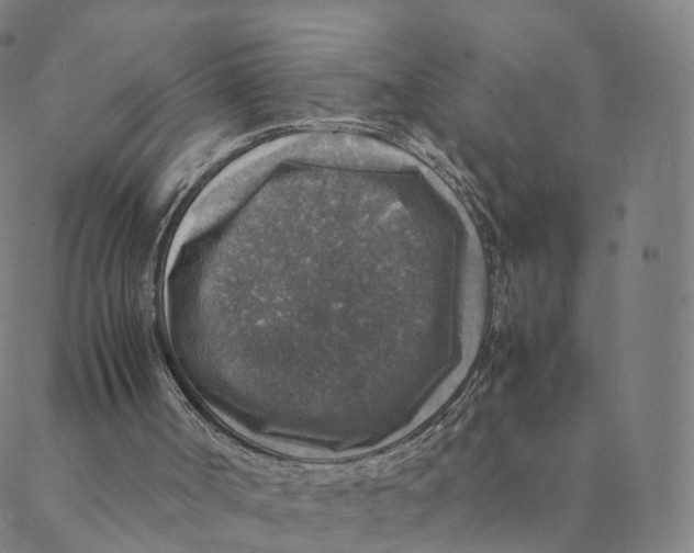 X0000088400002200706191409