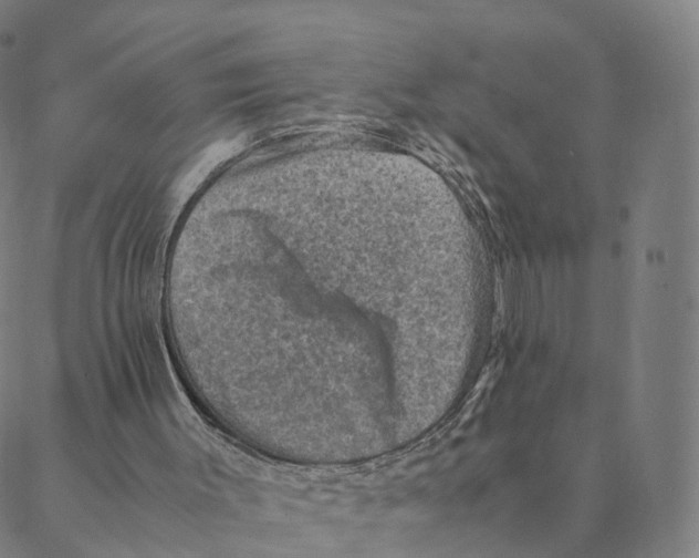 X0000088400003200706191409