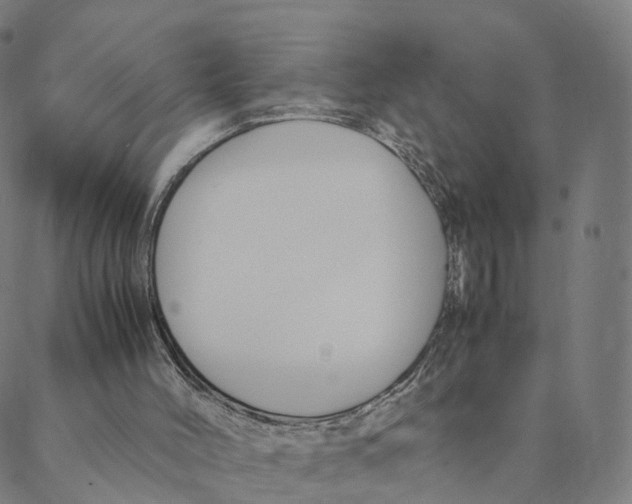 X0000088400004200706191409