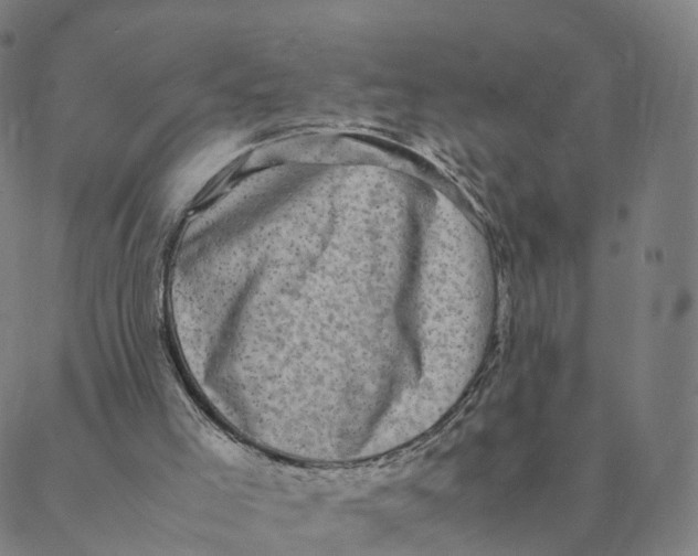 X0000088400005200706191409