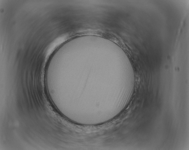 X0000088400006200706191409