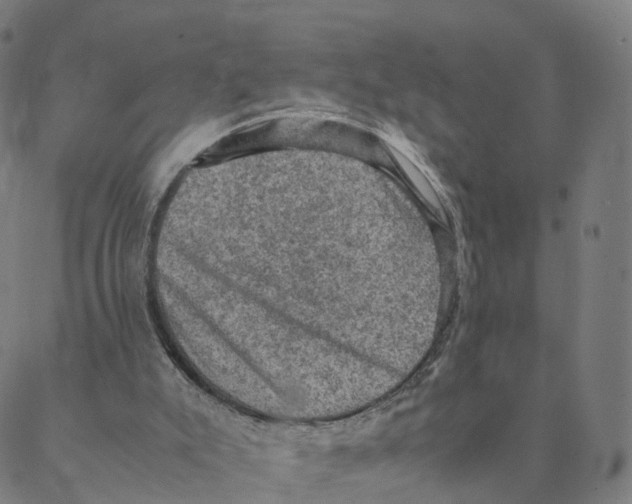 X0000088400007200706191409