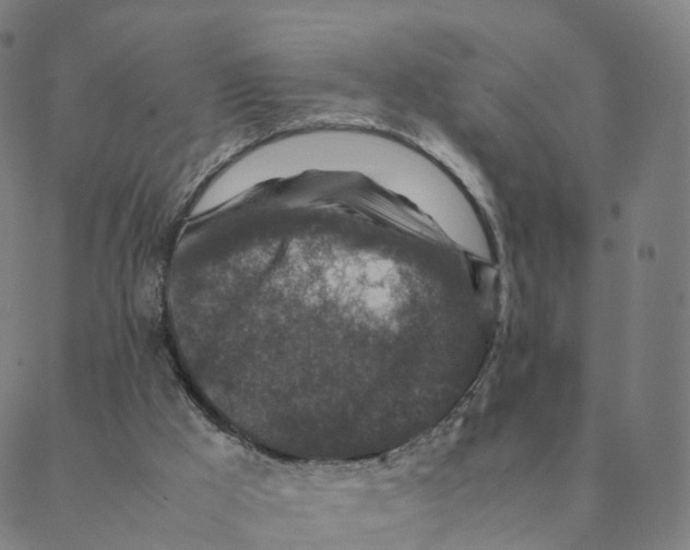 X0000088400009200706191409