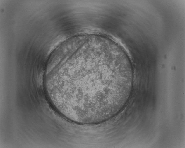 X0000088400010200706191409