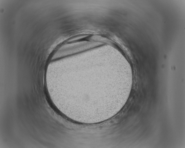 X0000088400011200706191409