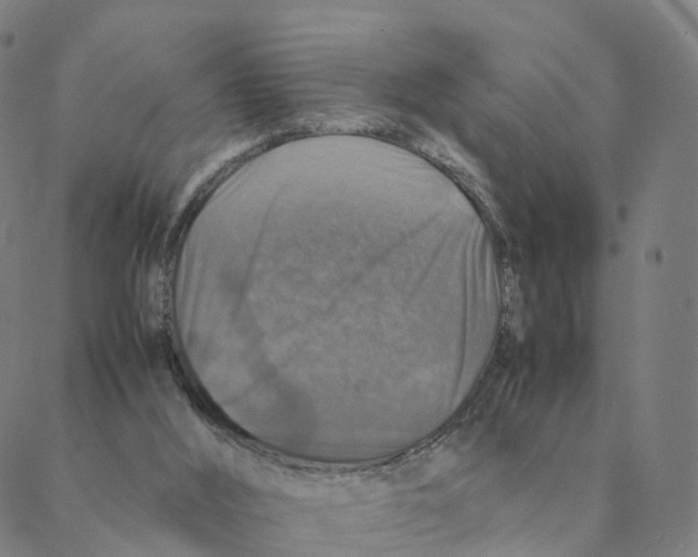 X0000088400012200706191409