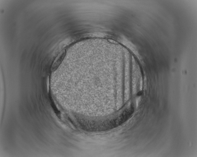 X0000088400013200706191409