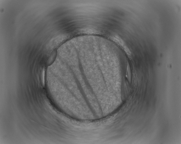 X0000088400014200706191409