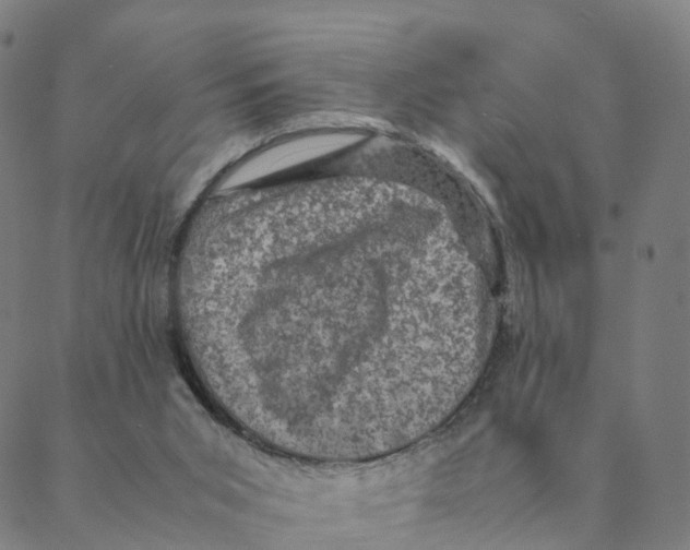 X0000088400015200706191409