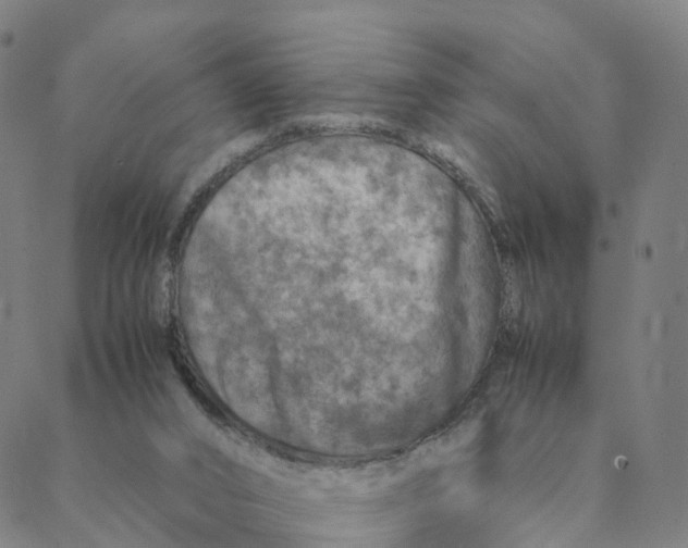 X0000088400016200706191409