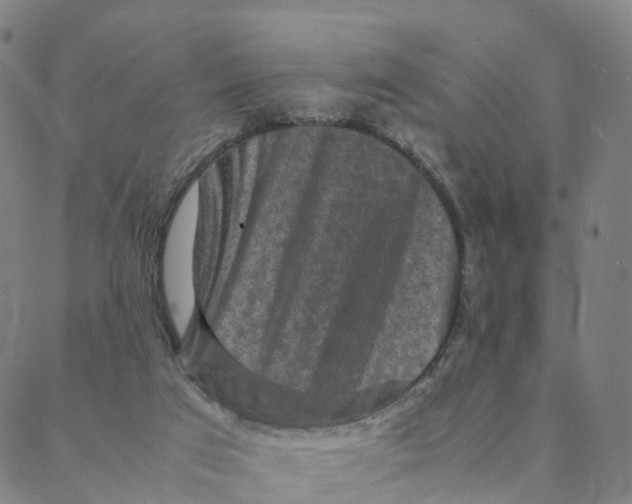 X0000088400017200706191409