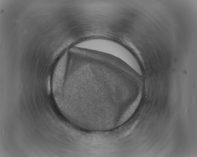 X0000088400020200706191409