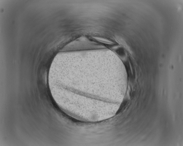 X0000088400021200706191409