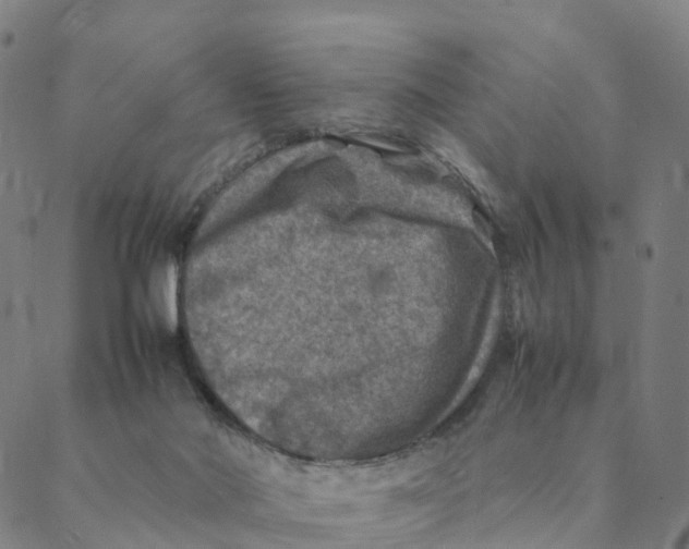 X0000088400022200706191409