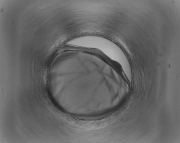 X0000088400023200706191409