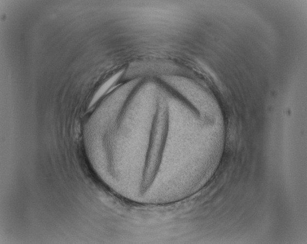 X0000088400025200706191409