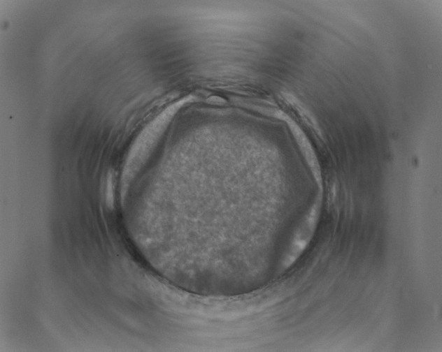 X0000088400026200706191409