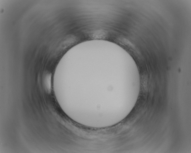 X0000088400028200706191408