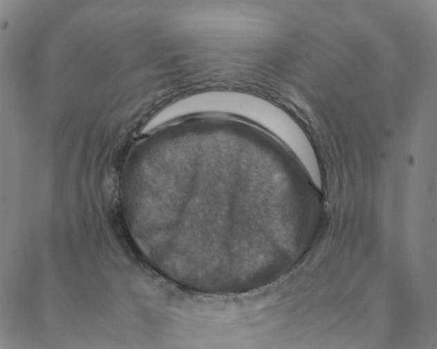 X0000088400029200706191408