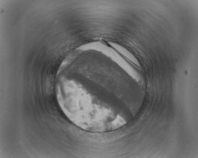 X0000088400030200706191408