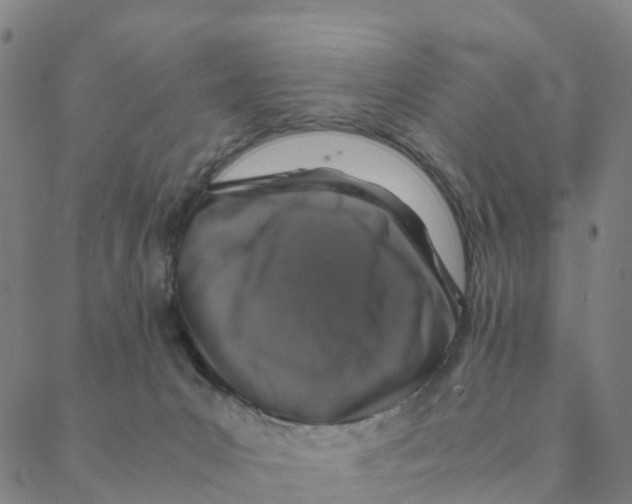 X0000088400031200706191408