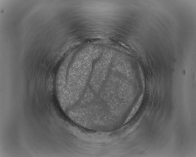 X0000088400032200706191408