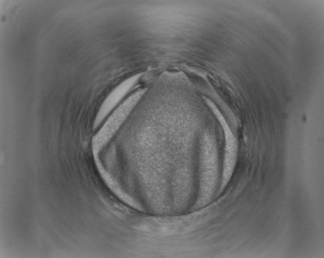 X0000088400033200706191408