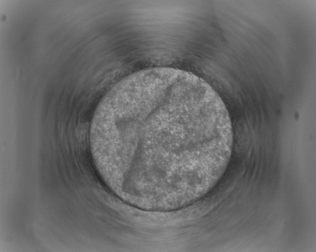 X0000088400034200706191408