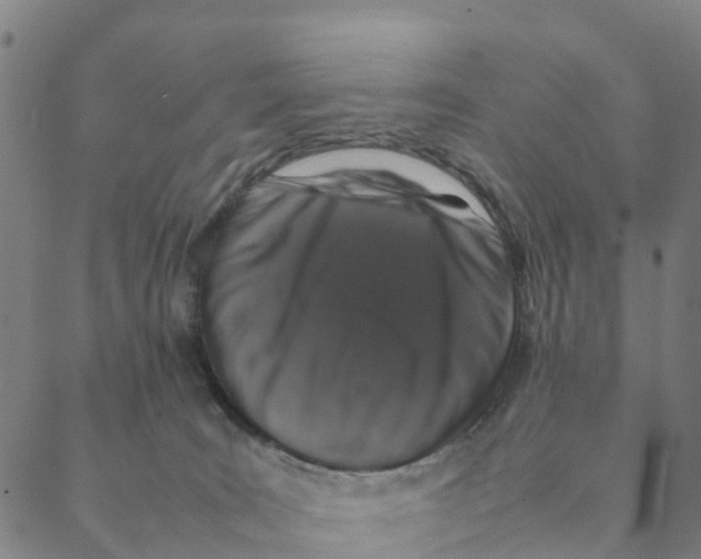 X0000088400035200706191408