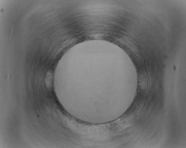 X0000088400036200706191408