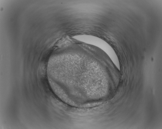 X0000088400037200706191408