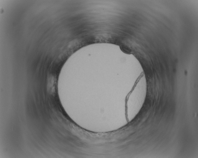 X0000088400038200706191408