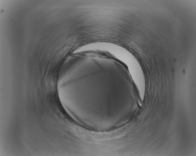 X0000088400039200706191408