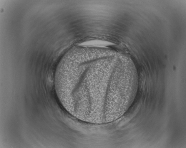 X0000088400040200706191408