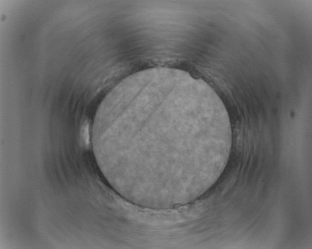 X0000088400042200706191408