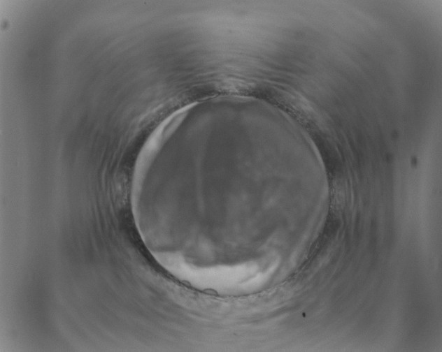 X0000088400043200706191408