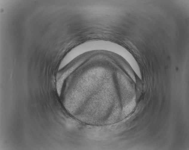 X0000088400045200706191408