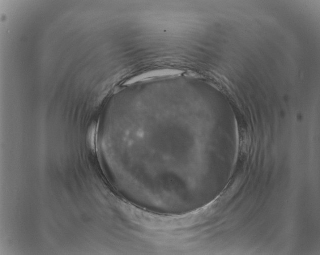 X0000088400047200706191408